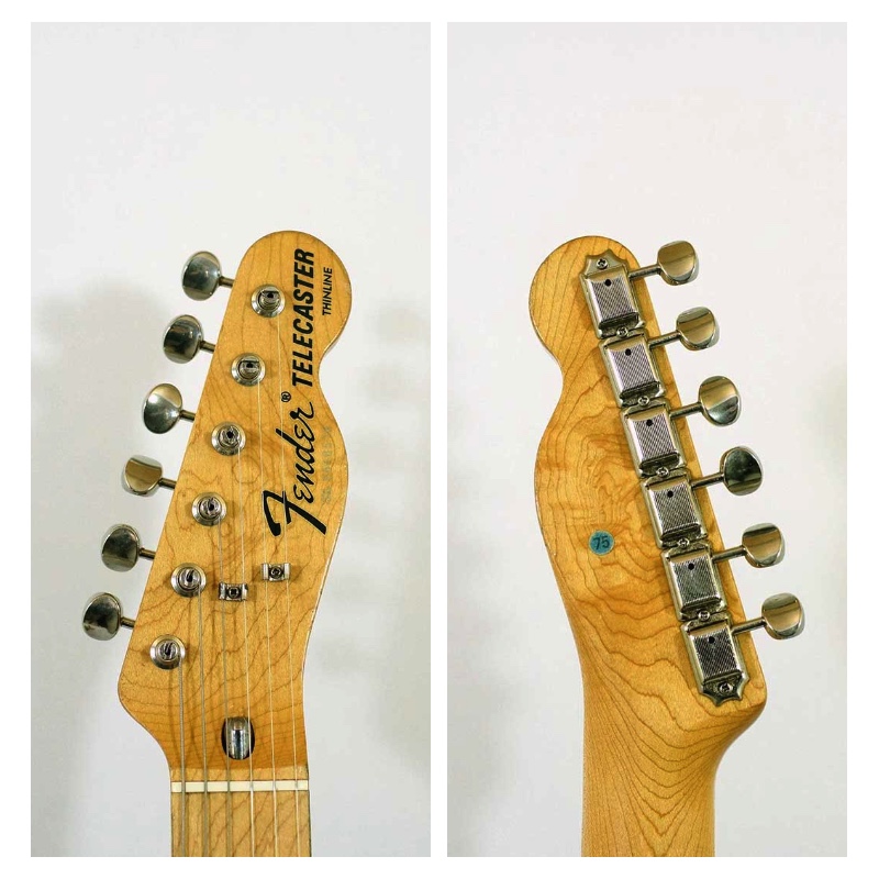 買取} Fender Japan 【TN72-75 / Telecaster Thinline】 | D-plus-stock