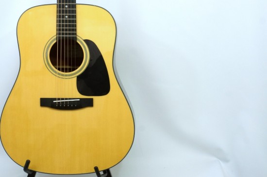 takamine T-2N アコースティックギター